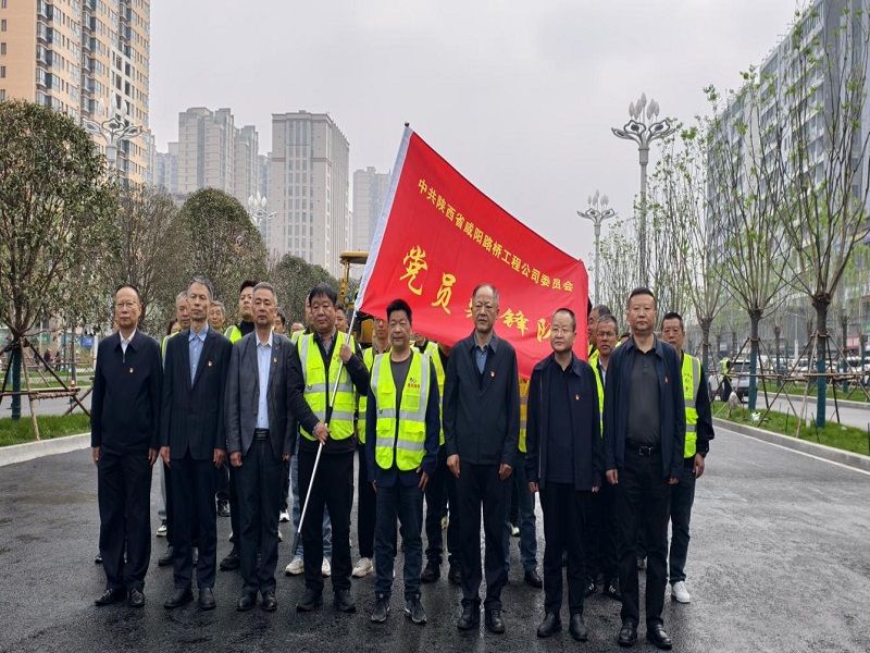公司黨委舉行“黨員先鋒隊(duì)”授旗儀式